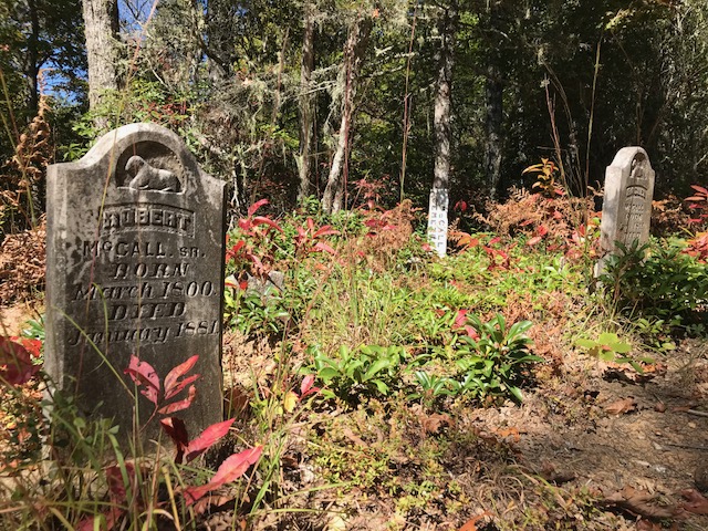 McCall Family Cemetery 1